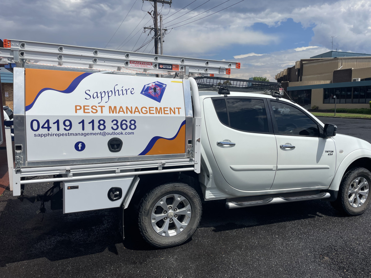 Sapphire Pest Management Vehicle Signage